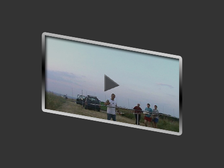 vid
