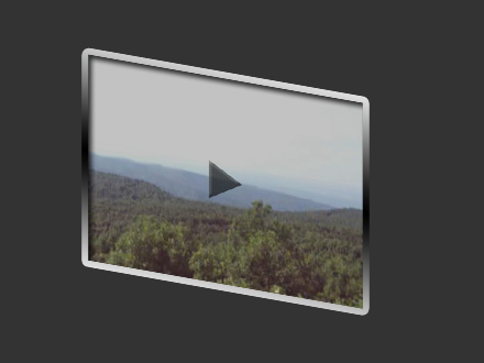 vid